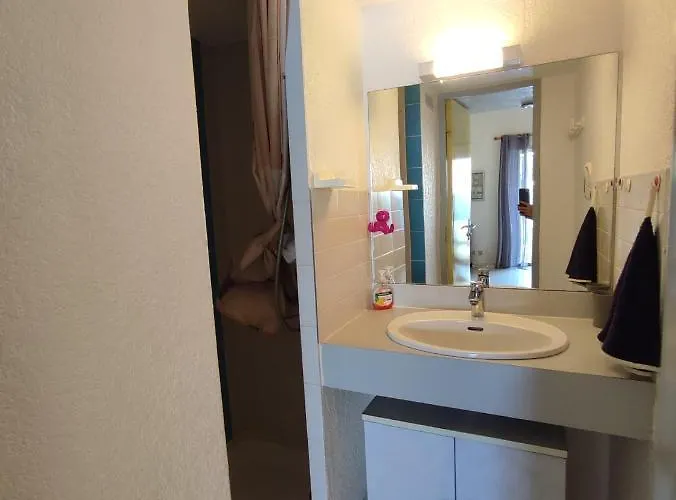 Ondines I Tres Joli T2 Mezzanine Climatise Richelieu Cap D'agde Lägenhet Agde